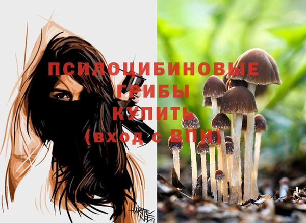 ешки Белокуриха