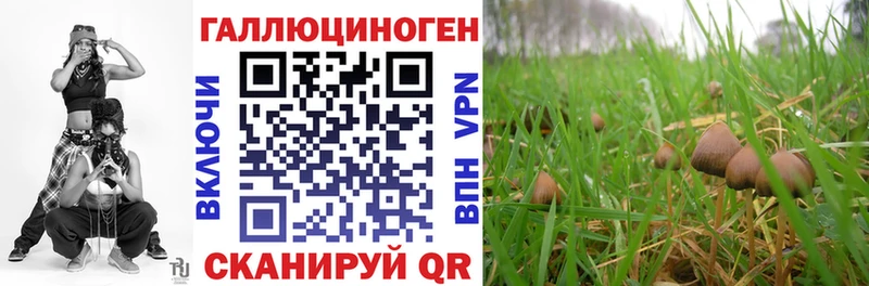Псилоцибиновые грибы мицелий  darknet как зайти  Пятигорск  закладка 